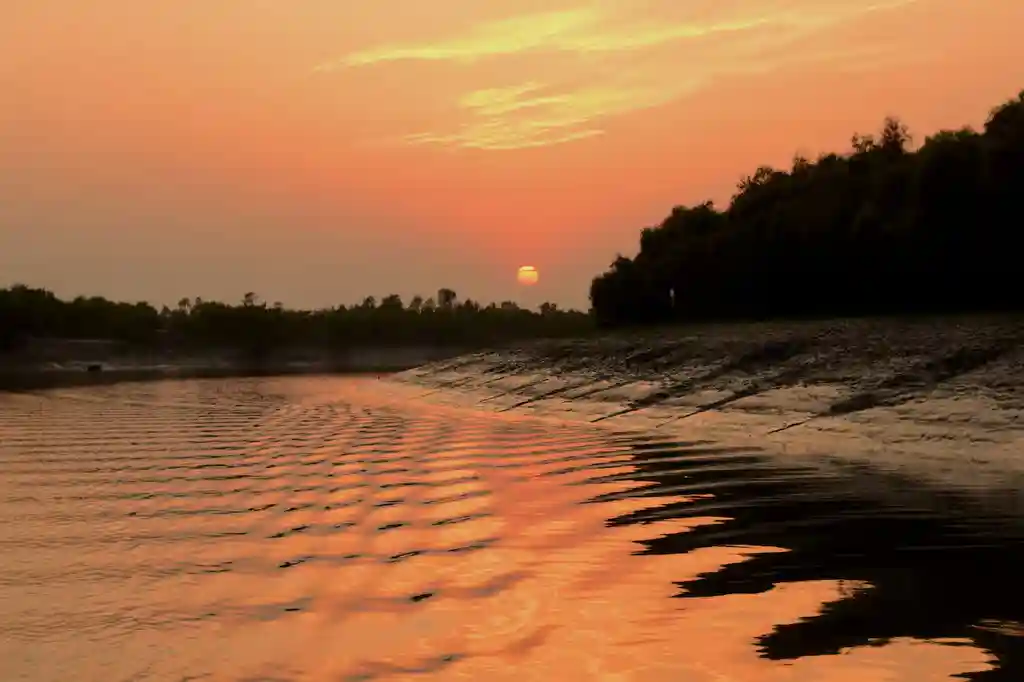 Sunset photo in Sundarban National Park taken by a guest during their tour in Sundarban Houseboat