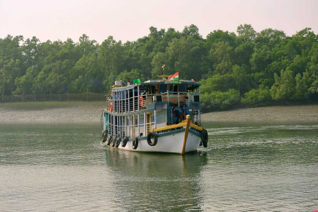 Witness the Majesty of Sundarbans by Houseboat: Create Memories of a Lifetime -  Book Your Sundarban Tour Today